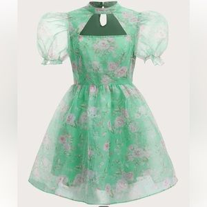 Organza dress